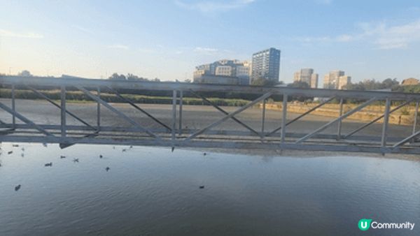 東印度船塢水池 (East India Docks Basi...