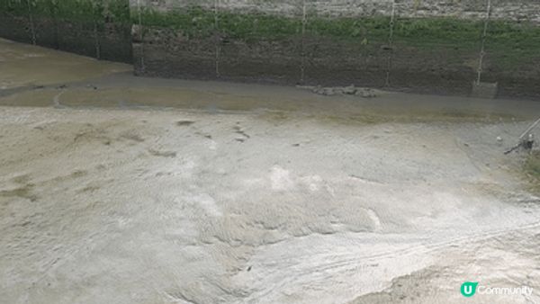 東印度船塢水池 (East India Docks Basi...