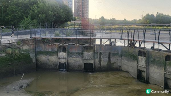 東印度船塢水池 (East India Docks Basi...