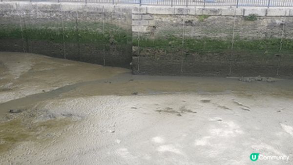 東印度船塢水池 (East India Docks Basi...