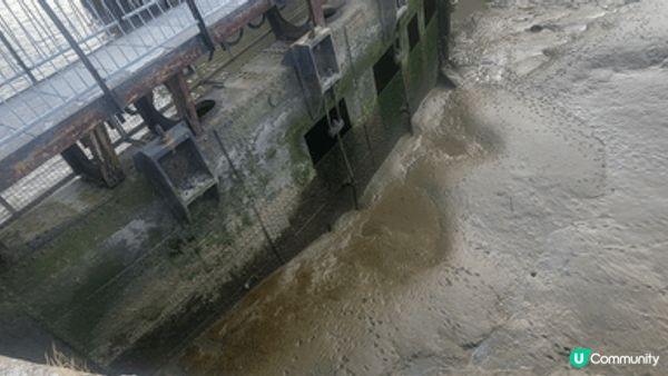 東印度船塢水池 (East India Docks Basi...