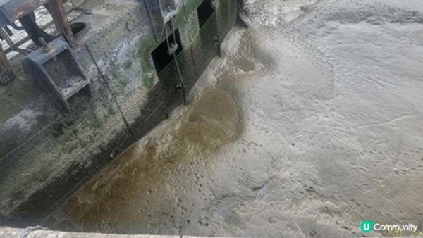 東印度船塢水池 (East India Docks Basi...