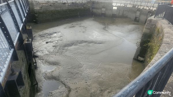 東印度船塢水池 (East India Docks Basi...