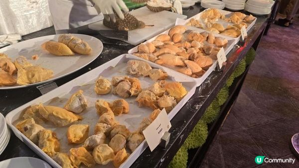 馬來西亞榴槤節2026 十款檳城榴槤任食 地道馬來美食放題