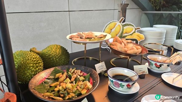 馬來西亞榴槤節2026 十款檳城榴槤任食 地道馬來美食放題