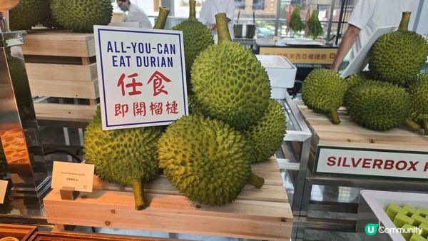 馬來西亞榴槤節2026 十款檳城榴槤任食 地道馬來美食放題