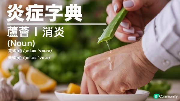 「#不死植物」蘆薈🌱 護膚 x #究極抗氧化