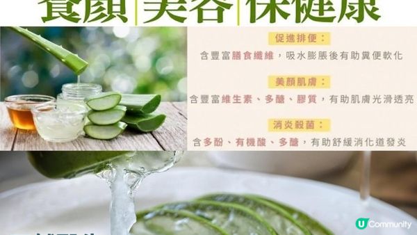 「#不死植物」蘆薈🌱 護膚 x #究極抗氧化