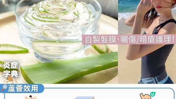 「#不死植物」蘆薈🌱 護膚 x #究極抗氧化