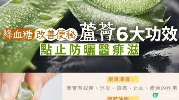 「#不死植物」蘆薈🌱 護膚 x #究極抗氧化