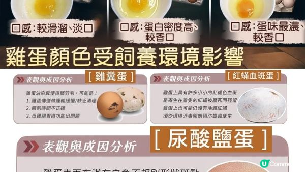 #食蛋都出事 ⚠️ 關鍵在蛋殼上