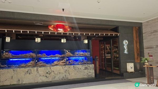 深圳食好嘢😋【蟹道🦀•福田平安金融中心店】