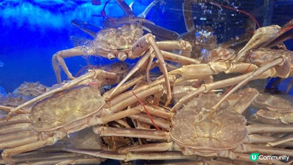 深圳食好嘢😋【蟹道🦀•福田平安金融中心店】