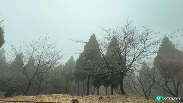 阿蘇火山一日遊！草千里、阿蘇博物館、觀景台、巴士總站