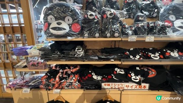 阿蘇火山一日遊！草千里、阿蘇博物館、觀景台、巴士總站