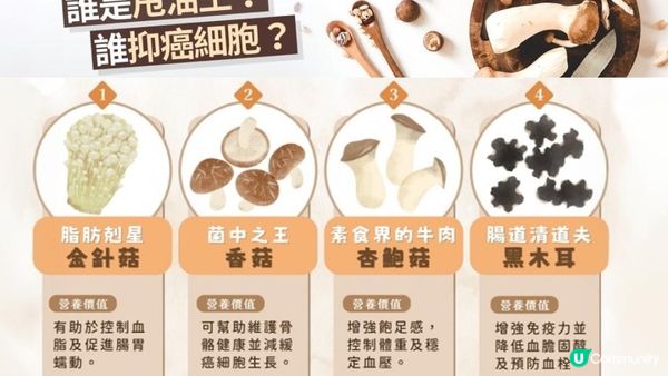 #孖寶兄弟食菇變大 🍄 現實中真係變聰明D