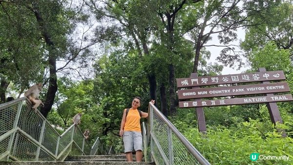 雨後澎湃滿滿的城門水塘【白千層及大城石澗👣】