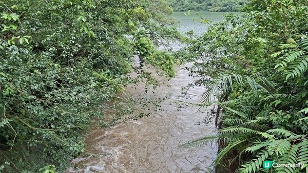 雨後澎湃滿滿的城門水塘【白千層及大城石澗👣】
