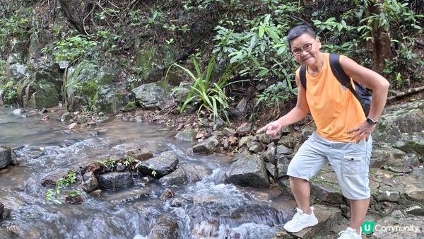 雨後澎湃滿滿的城門水塘【白千層及大城石澗👣】