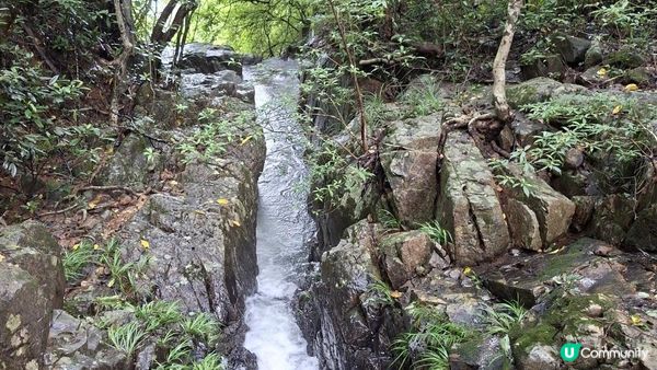 雨後澎湃滿滿的城門水塘【白千層及大城石澗👣】