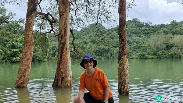 雨後澎湃滿滿的城門水塘【白千層及大城石澗👣】