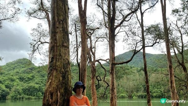 雨後澎湃滿滿的城門水塘【白千層及大城石澗👣】