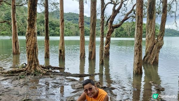 雨後澎湃滿滿的城門水塘【白千層及大城石澗👣】