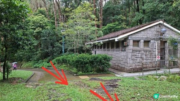 雨後澎湃滿滿的城門水塘【白千層及大城石澗👣】