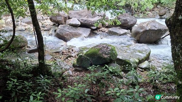 雨後澎湃滿滿的城門水塘【白千層及大城石澗👣】