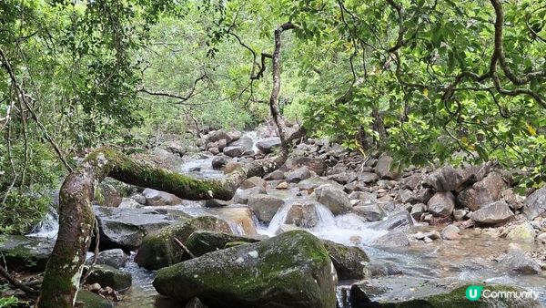雨後澎湃滿滿的城門水塘【白千層及大城石澗👣】