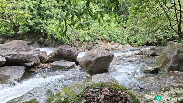 雨後澎湃滿滿的城門水塘【白千層及大城石澗👣】