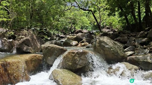 雨後澎湃滿滿的城門水塘【白千層及大城石澗👣】