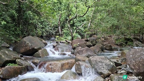 雨後澎湃滿滿的城門水塘【白千層及大城石澗👣】