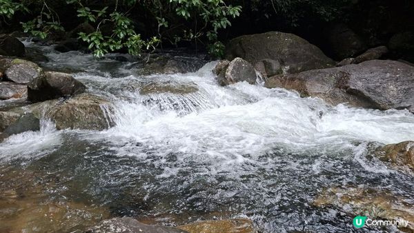 雨後澎湃滿滿的城門水塘【白千層及大城石澗👣】