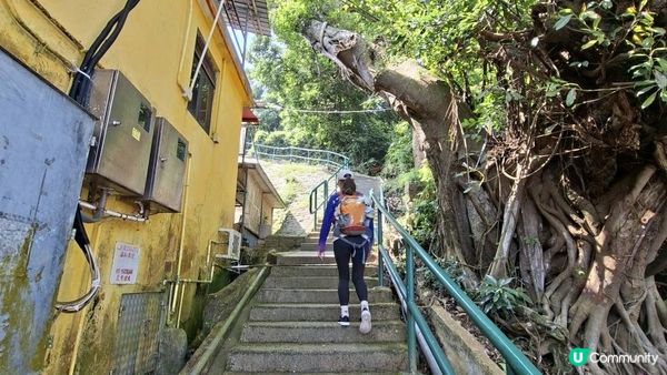 夏季浮潛玩水系列🎽🤿💦【南丫島石排灣💦】