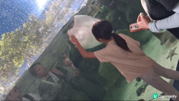 珠海長隆海洋王國真係好好玩，入面有好多海洋生物， 有鯨鯊， ...
