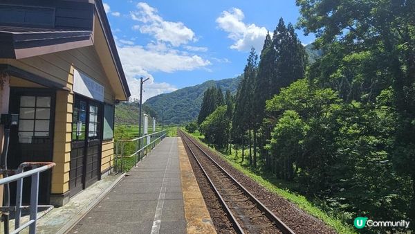 全日本最美慢活鐵道！列車變身「移動展望台」睇稻田彩繪🎨