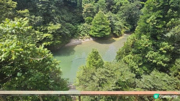 全日本最美慢活鐵道！列車變身「移動展望台」睇稻田彩繪🎨