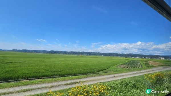 全日本最美慢活鐵道！列車變身「移動展望台」睇稻田彩繪🎨
