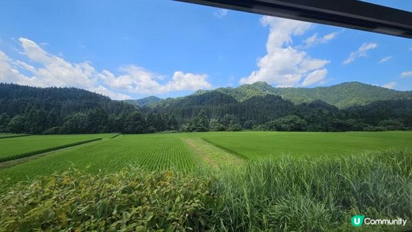全日本最美慢活鐵道！列車變身「移動展望台」睇稻田彩繪🎨