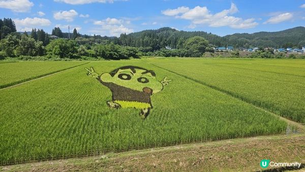 全日本最美慢活鐵道！列車變身「移動展望台」睇稻田彩繪🎨
