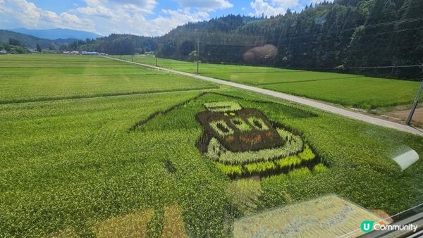 全日本最美慢活鐵道！列車變身「移動展望台」睇稻田彩繪🎨