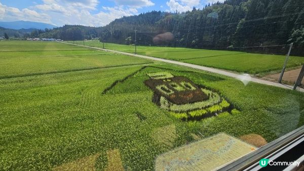 全日本最美慢活鐵道！列車變身「移動展望台」睇稻田彩繪🎨