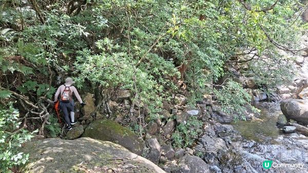 夏季石澗玩水系列💦【東涌黃龍石澗💦黃龍瀑💦】