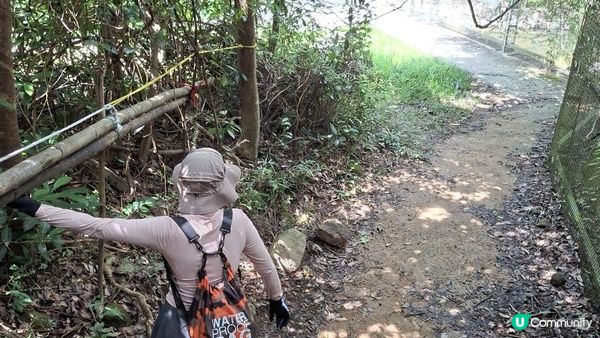 夏季石澗玩水系列💦【東涌黃龍石澗💦黃龍瀑💦】