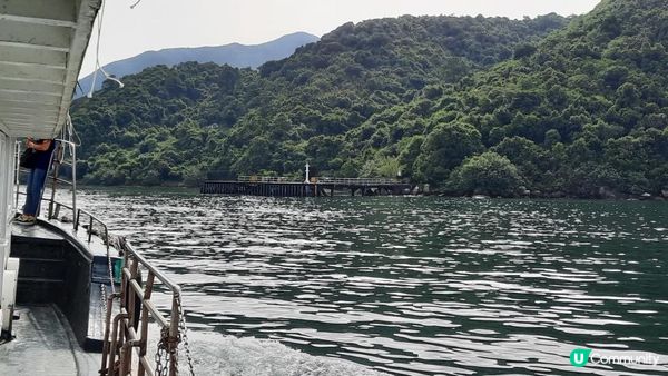 【深涌至井頭沿海輕鬆遊】榕樹澳、企嶺下老圍/新圍、瓦窰頭