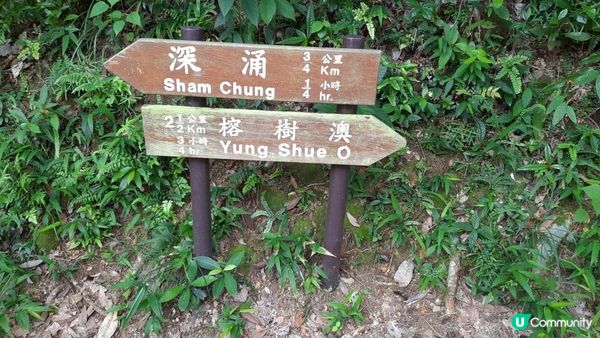 【深涌至井頭沿海輕鬆遊】榕樹澳、企嶺下老圍/新圍、瓦窰頭