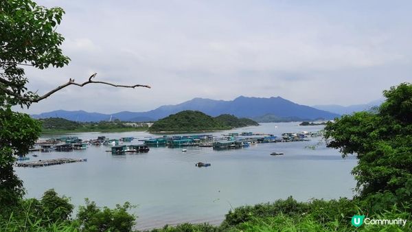 【深涌至井頭沿海輕鬆遊】榕樹澳、企嶺下老圍/新圍、瓦窰頭