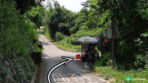【深涌至井頭沿海輕鬆遊】榕樹澳、企嶺下老圍/新圍、瓦窰頭