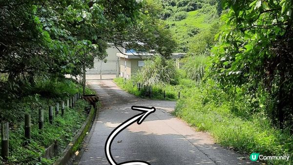 【深涌至井頭沿海輕鬆遊】榕樹澳、企嶺下老圍/新圍、瓦窰頭